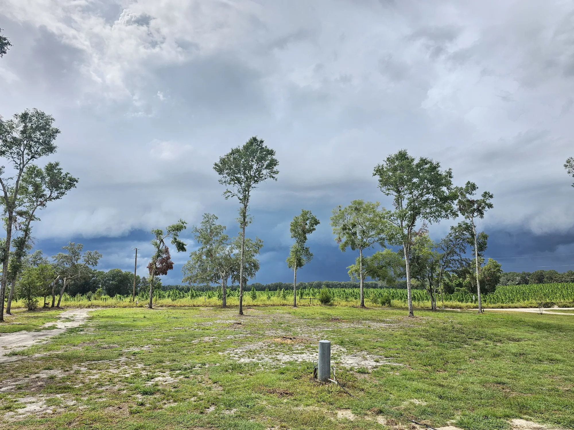 Selective land clearing preserving mature trees on a Florida homesite