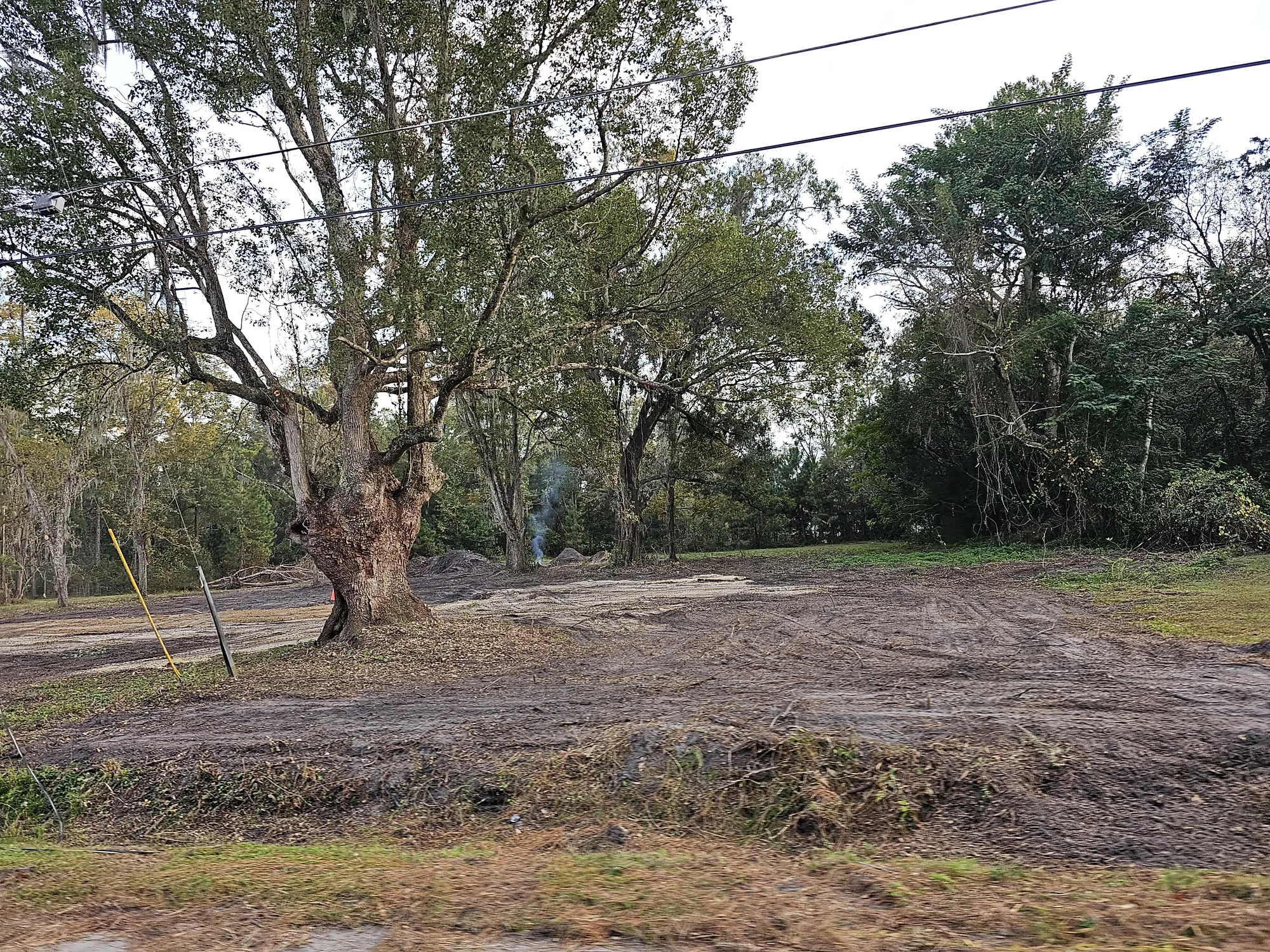 Complete land clearing and ground preparation for construction in North Florida