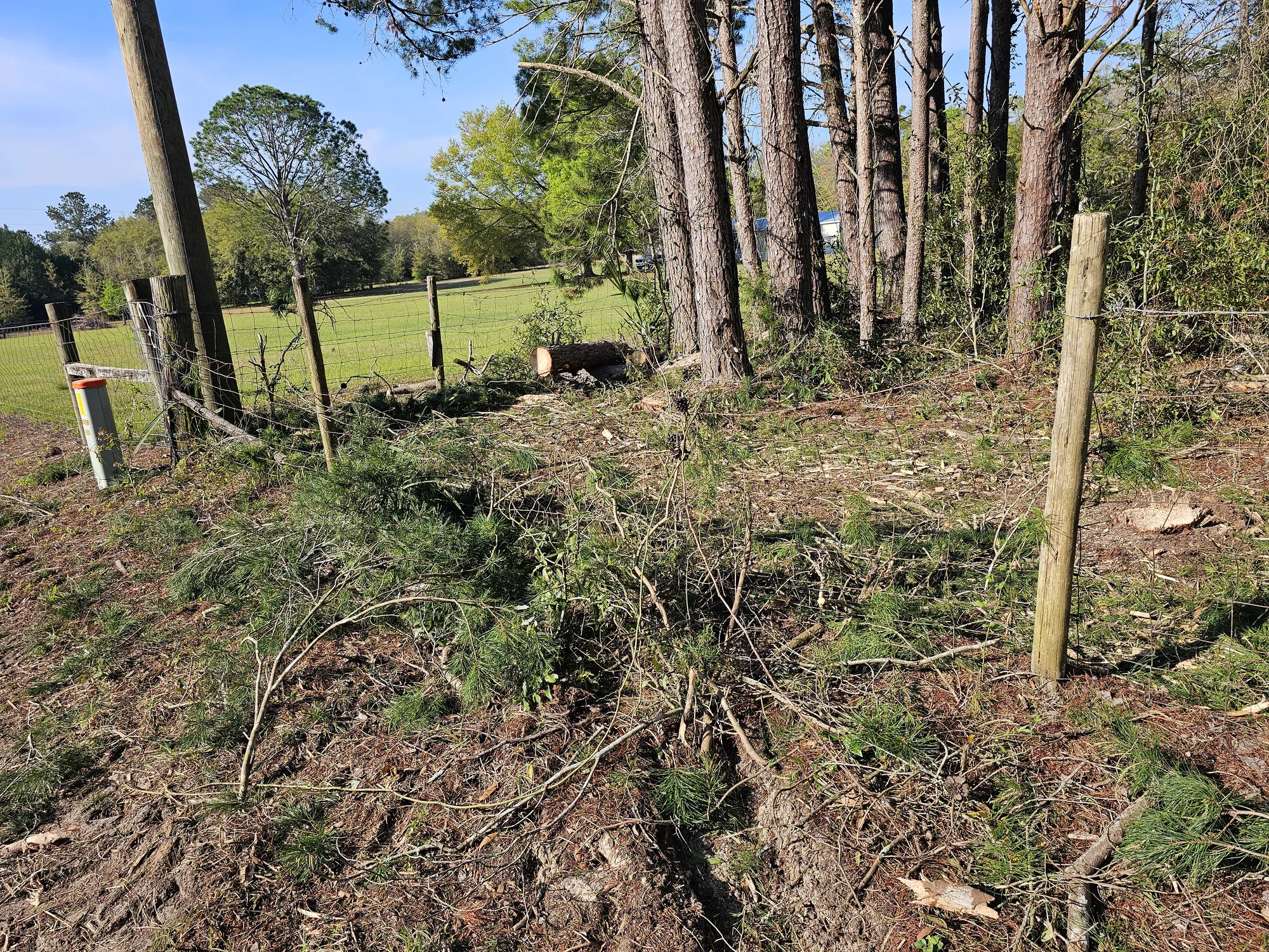 Professional brush clearing along property fence line in Florida
