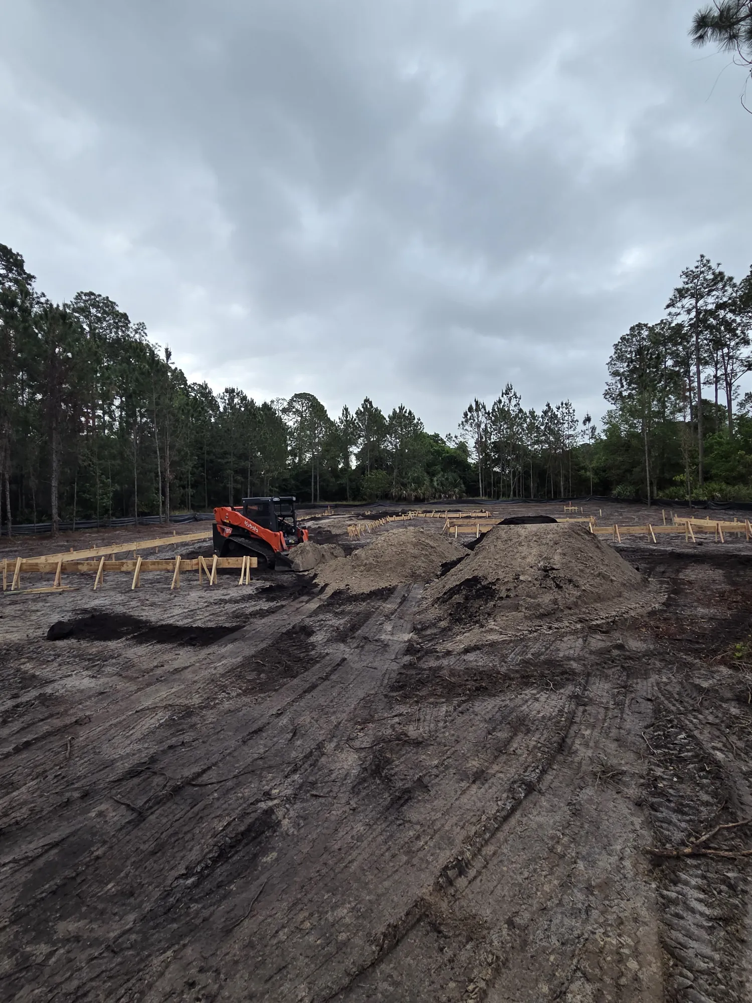 Professional land clearing with skid steer equipment in North Florida